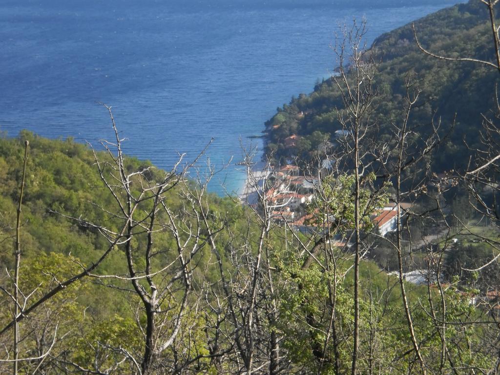 Apartment Haldej Mošćenička Draga الغرفة الصورة