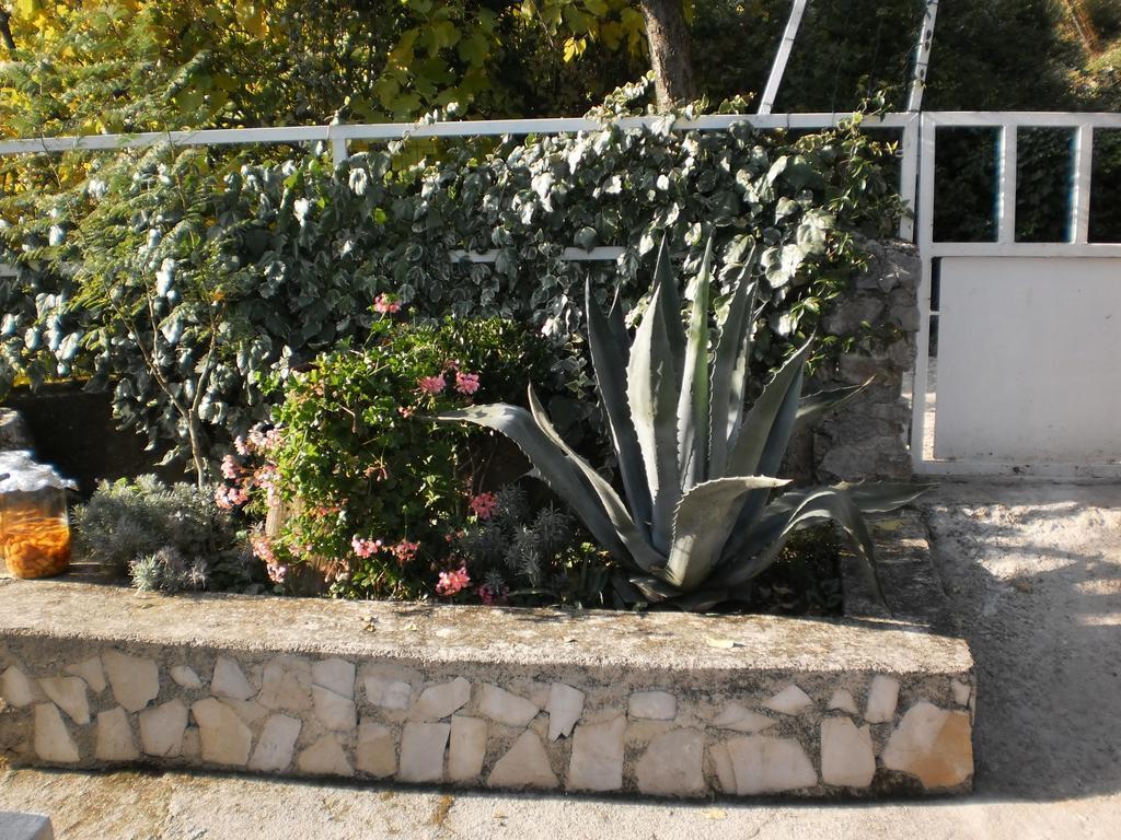 Apartment Haldej Mošćenička Draga المظهر الخارجي الصورة
